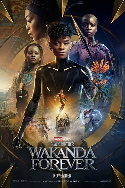 Download - Black Panther Wakanda Forever (2022) BluRay English ESub 480p 720p 1080p