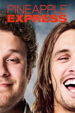 Pineapple Express (2008) BRRip Hindi Dubbed Movie 480p 720p Download - Watch Online